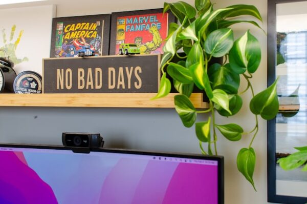 Auf einem Regal über einem Bildschirm stehen eine Pflanze, eingerahmte Comics und ein Schild mit der Aufschrift "No Bad Days"