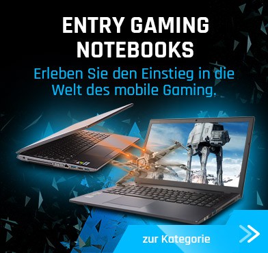 Entry Gaming Notebooks